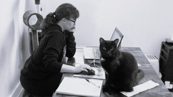 freelance copywriter for solopreneurs working on a laptop with a cat next to her